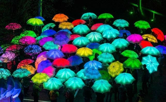 umbrella project