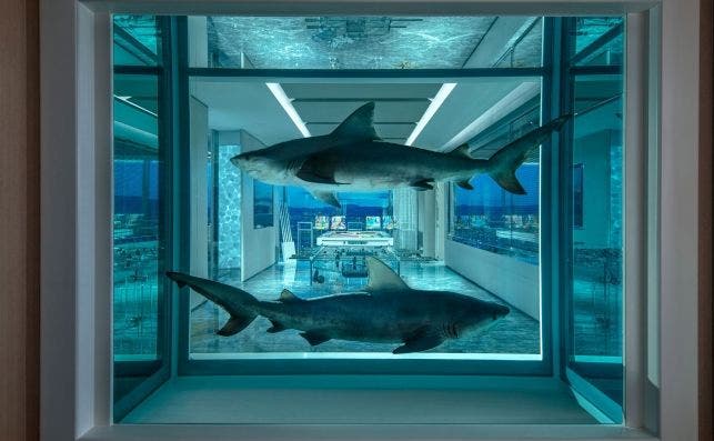 Una gran escultura de tiburones de Damien Hirst preside la nueva suite del Palms Casino Resort. Foto Clint Jenkins.