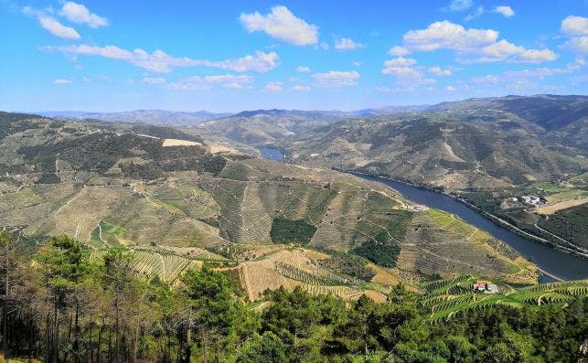 Vila Real, valle del Duero. Foto: Antoni Sessa | Unsplash.