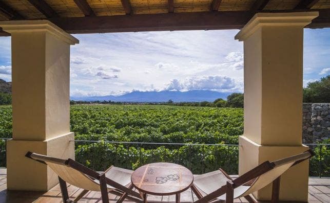 VinÌƒas de Cafayate Wine Resort.