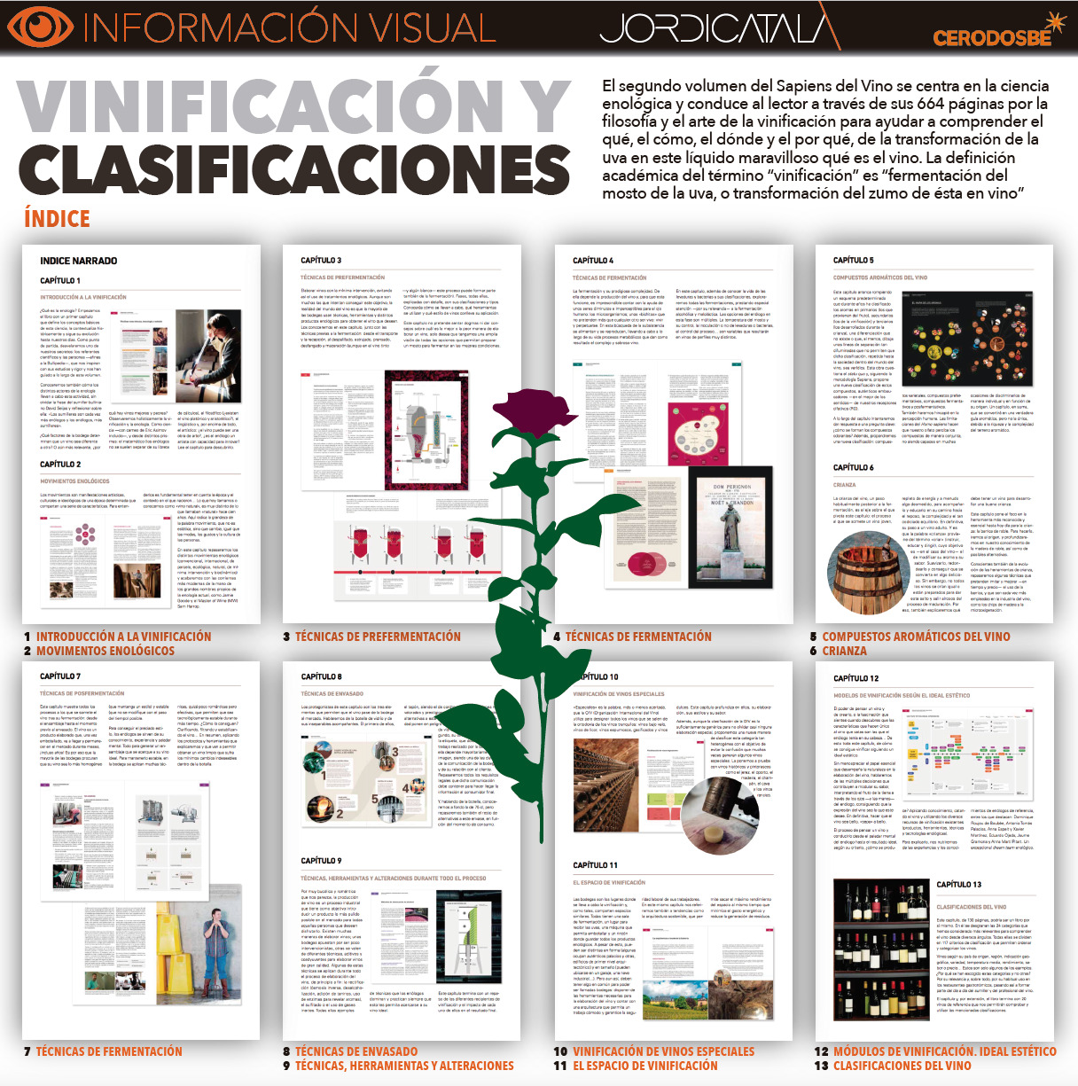 VinificaciÃ³n y Clasificaciones. InfografÃ­a Jordi CatalÃ .