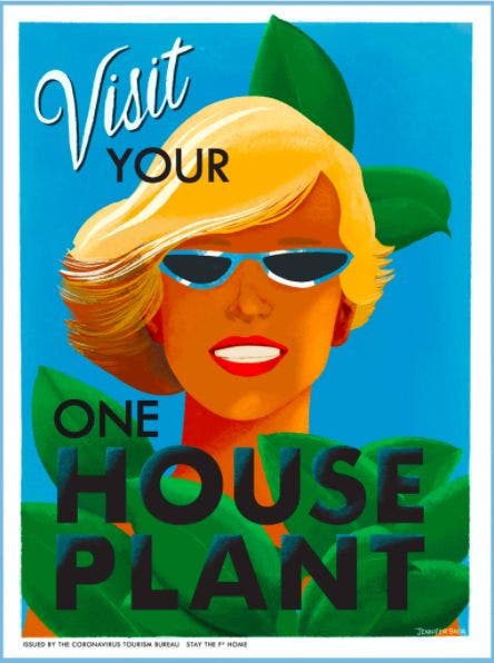 Visityourhouseplant. Imagen Jennifer Baer.