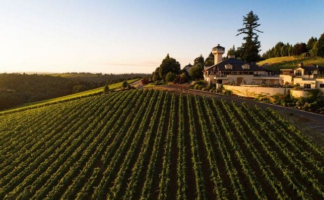 Willamette Valley Vineyards es una de las mejores bodegas del valle.