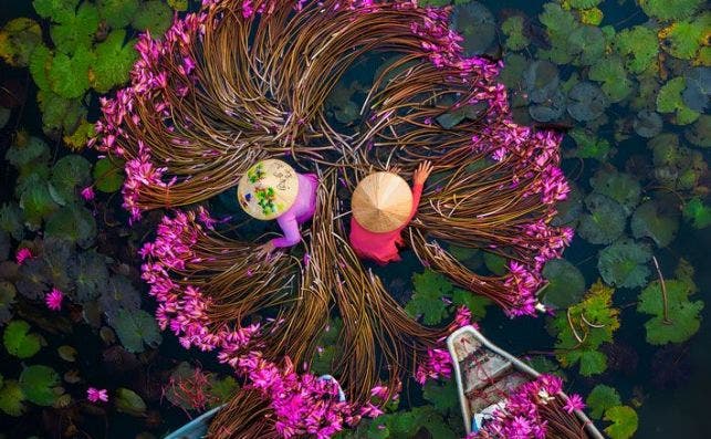 WINNING PHOTO 'Washing water lilies' by @ptkhanhhvnh (Vietnam)