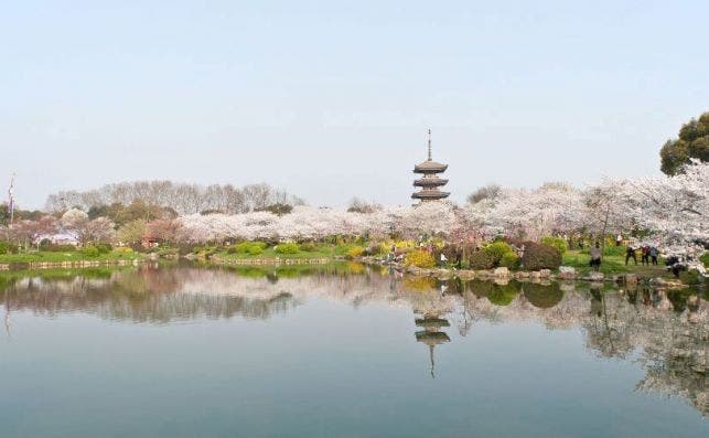 Wuhan Lago del Este foto Cathay Pacific