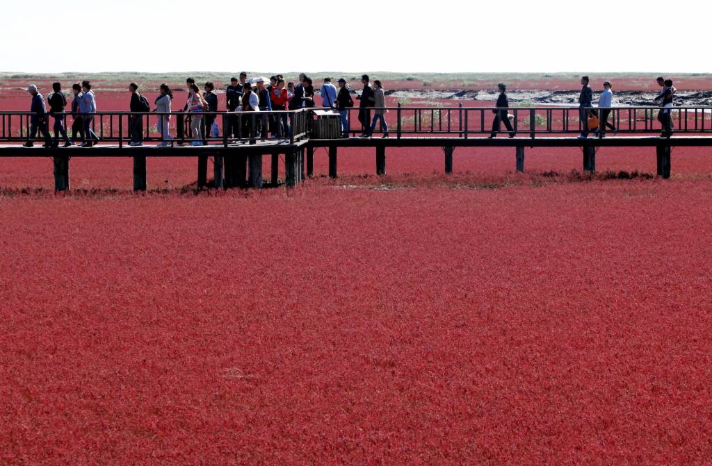 Playa roja Panjin (China)