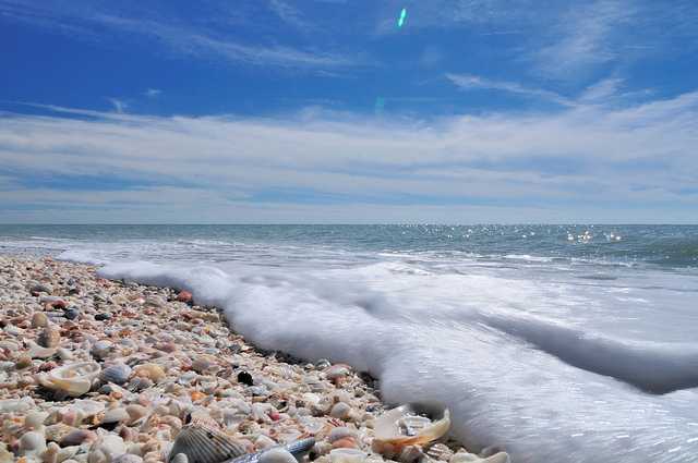 Bowman s Beach Sanibel Florida 9d030e771b20467b908a1cf2a76ceabe c[1]