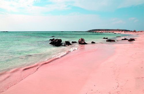 pinkbeach[1]