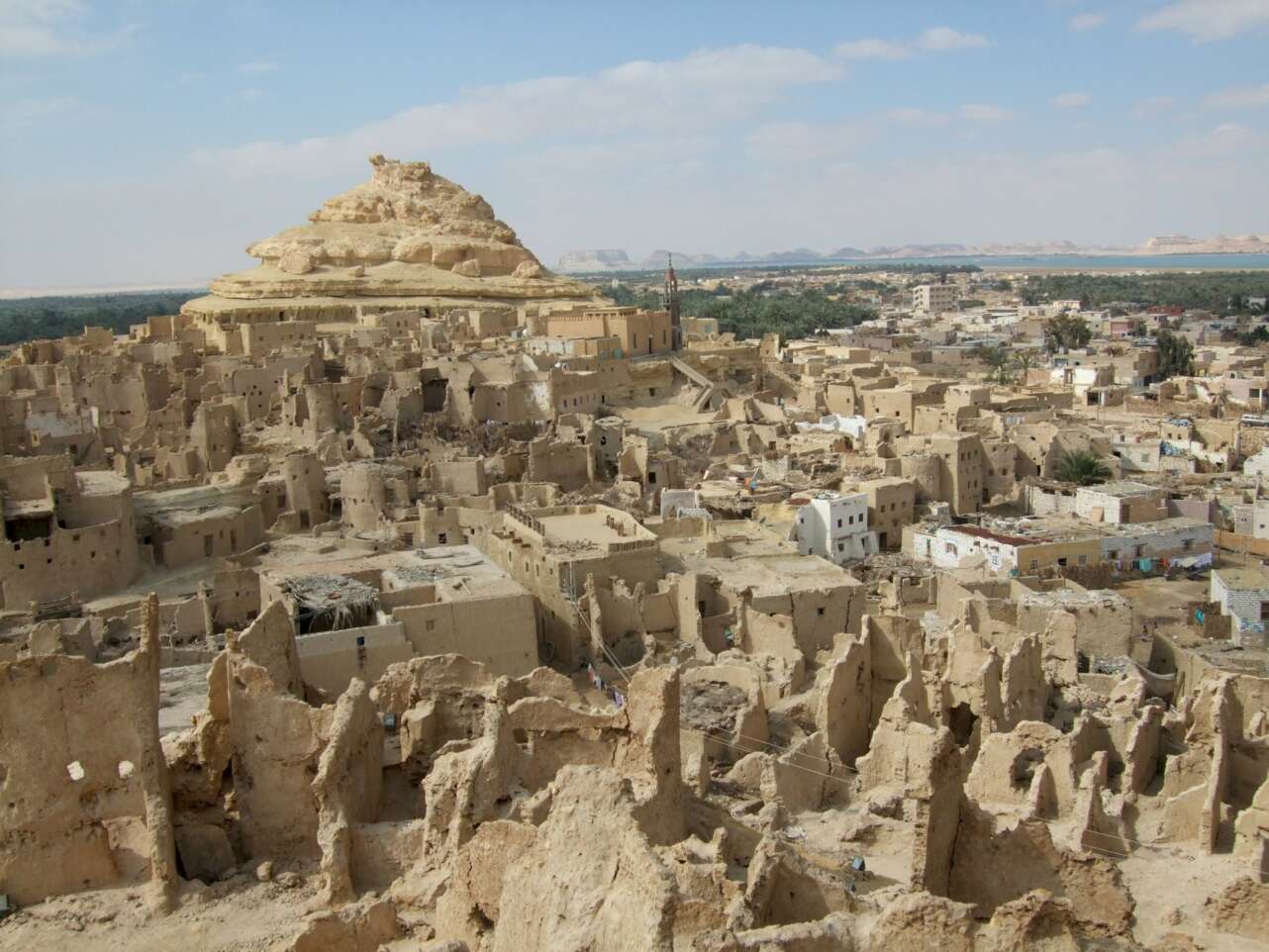 siwa oasis