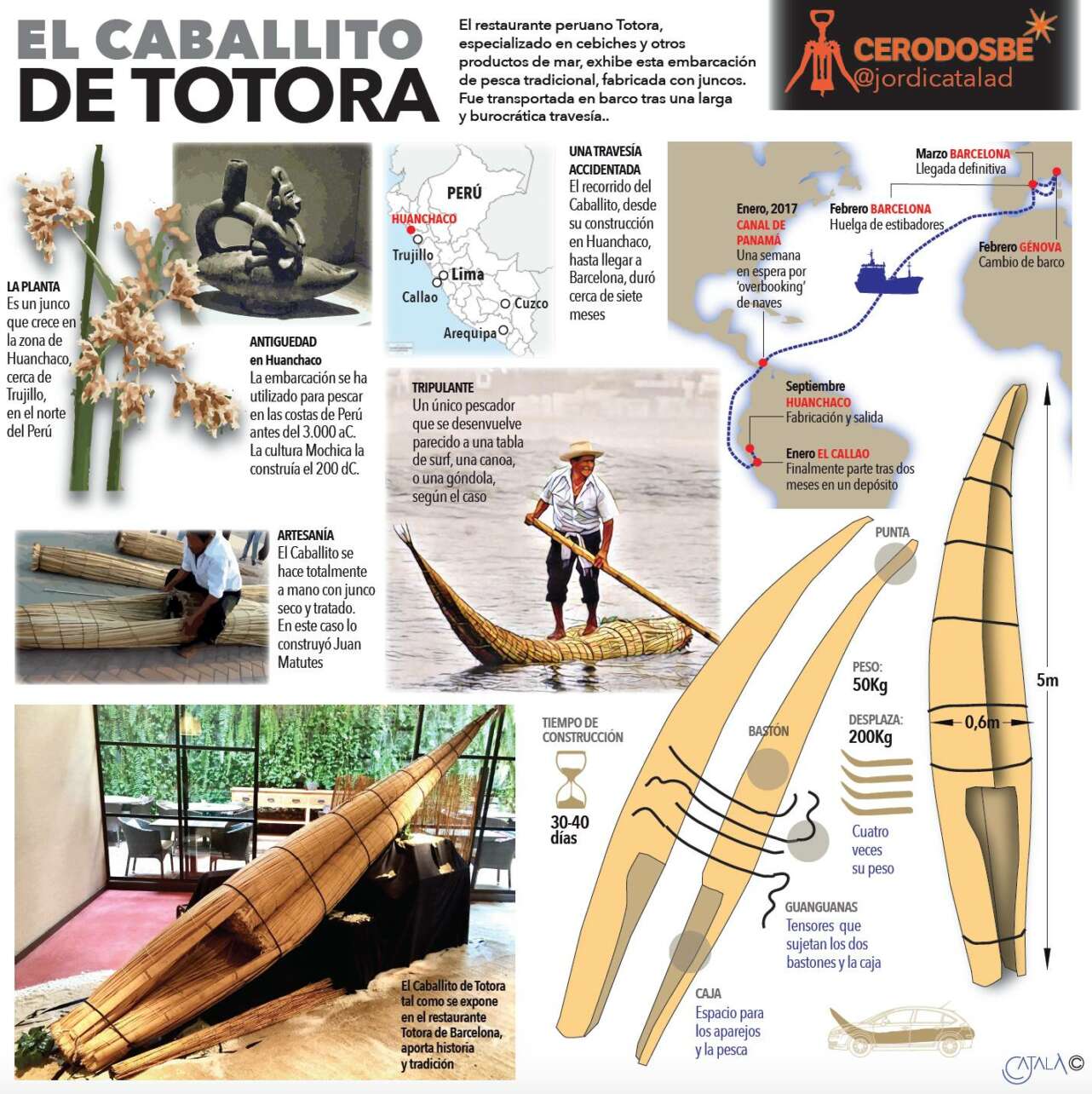 Totora 