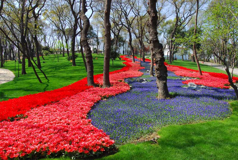 Un torrente de tulipanes en el parque Emirgan. Foto: Festival de Tulipanes de Estambul