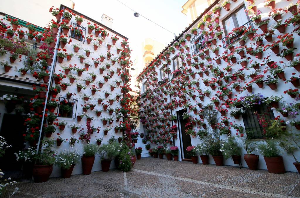 Patio en el barrio del Alcázar Viejo. Foto: Fiesta de los Patios