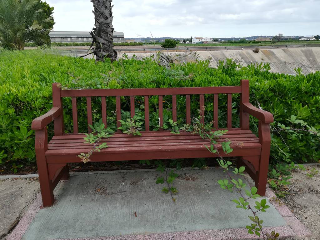 Naturaleza sin descanso, Valencia