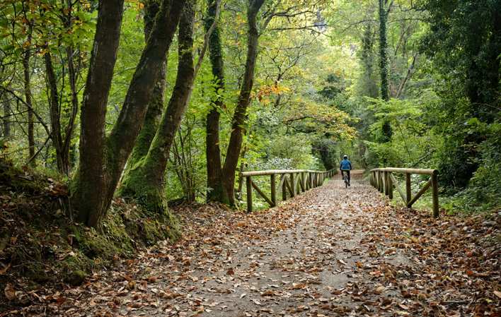 Vía verde del Oso. Foto: Turismo de Asturias