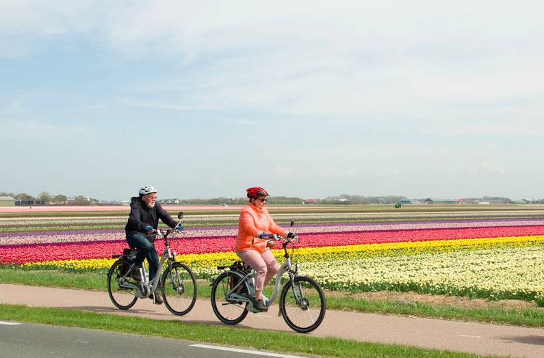 Campos tapizados de tulipanes. Foto Holland Cycling