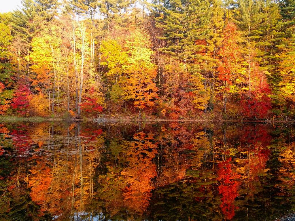 Cada lago y río es un espejo de colores. Foto: Keri Long