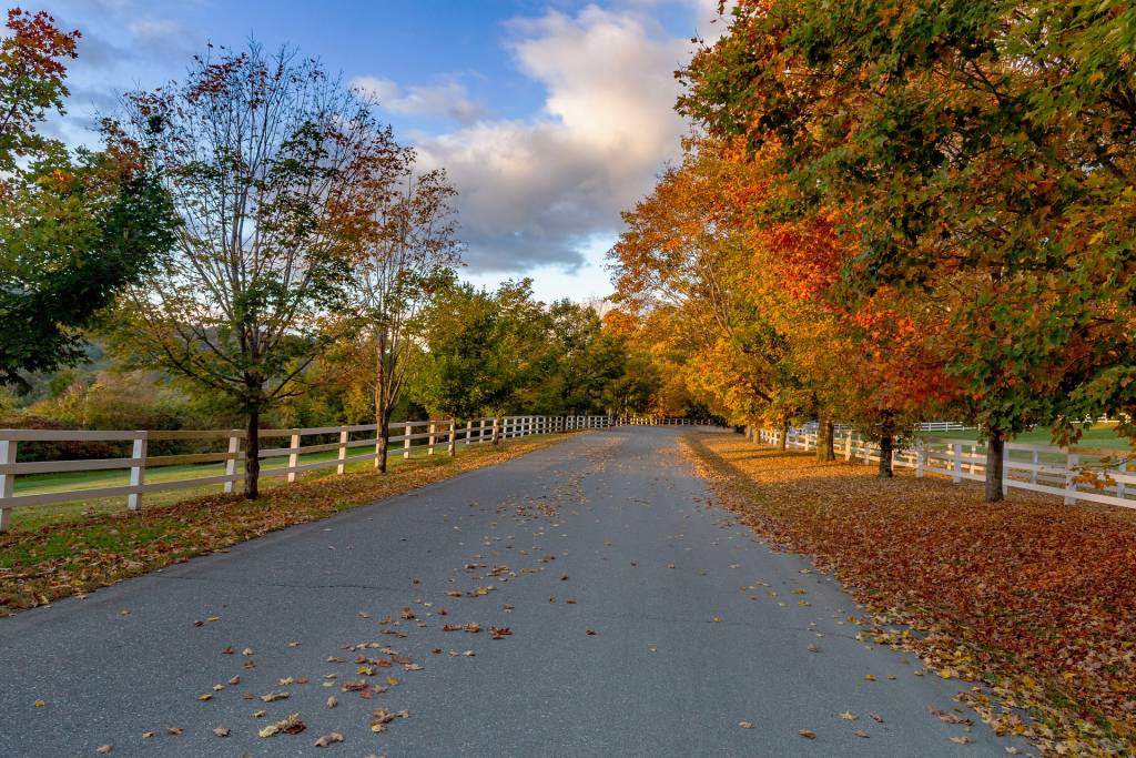 Paisaje cerca de Woodstock. Foto: Usmc0491 - Pixabay