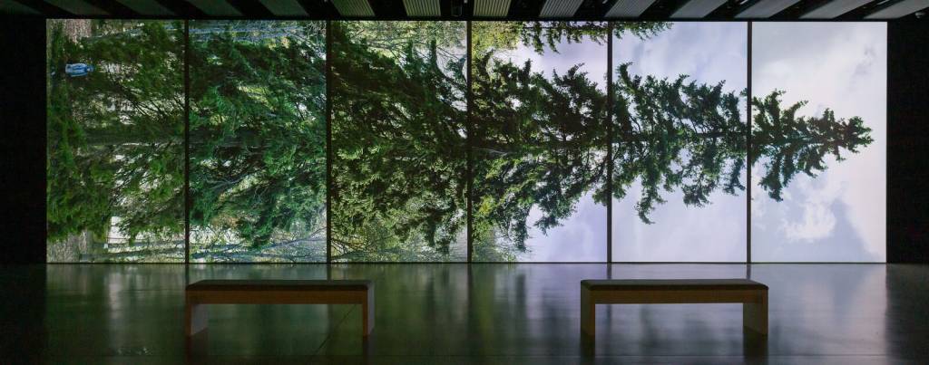 Naturaleza y tecnología en 'Among the Trees'. Foto: Galería Hayward