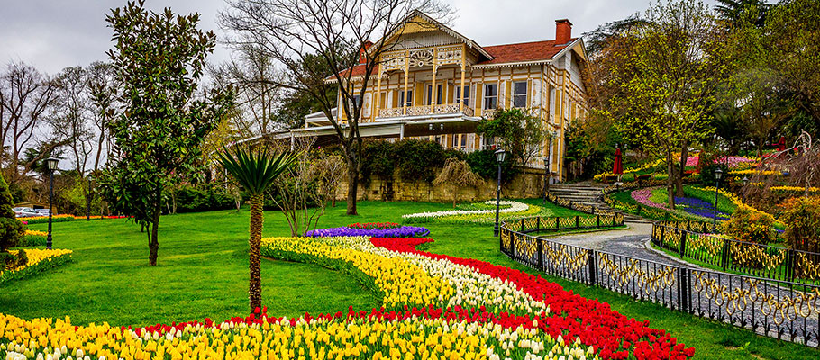 Hace siglos que la flor fascina a la sociedad turca. Foto: Festival de Tulipanes de Estambul