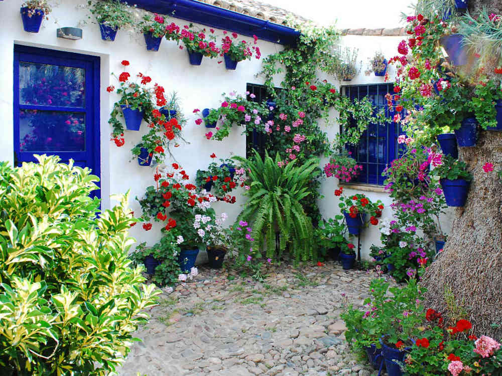 Patio en San Juan de Palomares 11. Foto: Fiesta de los Patios