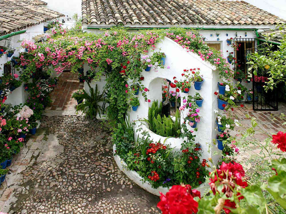 El Patio de la Carmela. Foto: Fiesta de los Patios