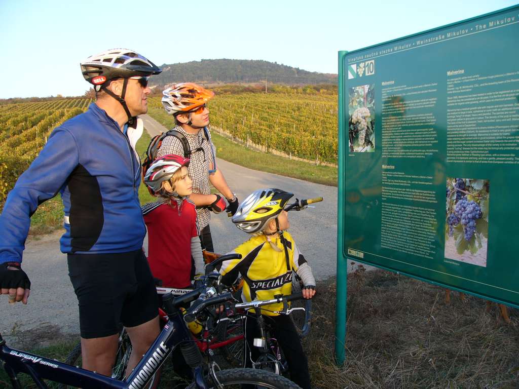 Ruta de vino en Moravia del Sur. Foto: JMCCR Solarik