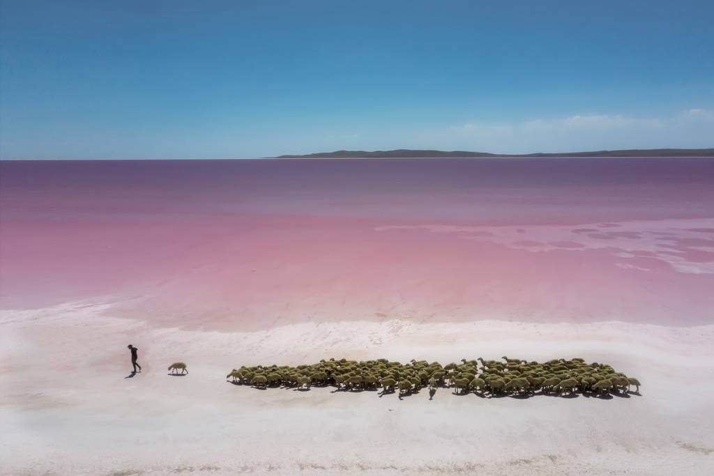 El lago rosado Tuz, en Turquía. Foto: F Dilek Uyar