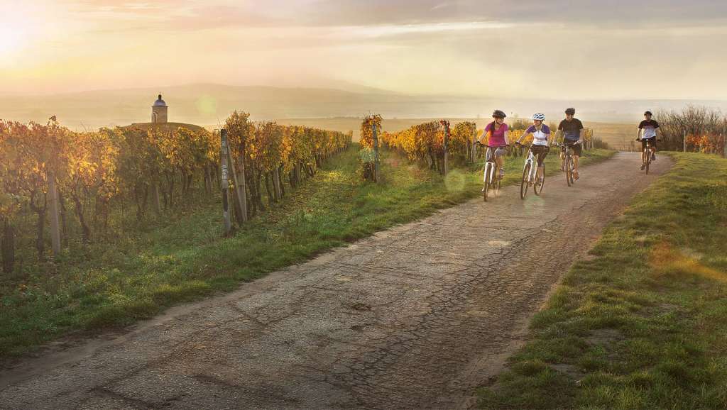 Paseo entre viñedos de Moravia Meriodional.