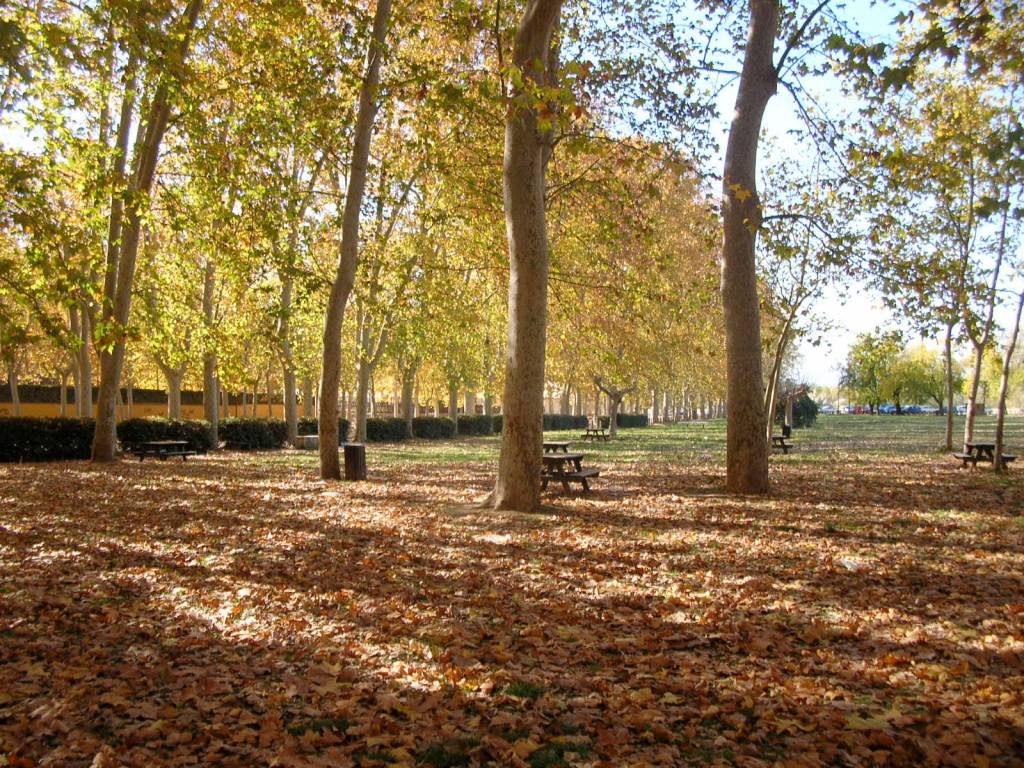 Otoño en el Parc de la Devesa. Foto ACN