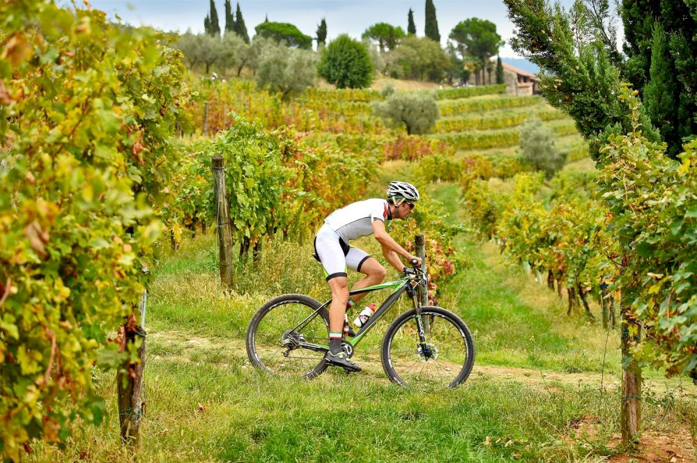 Paseo por los viñedos en el circuito de Franciacorta Brut