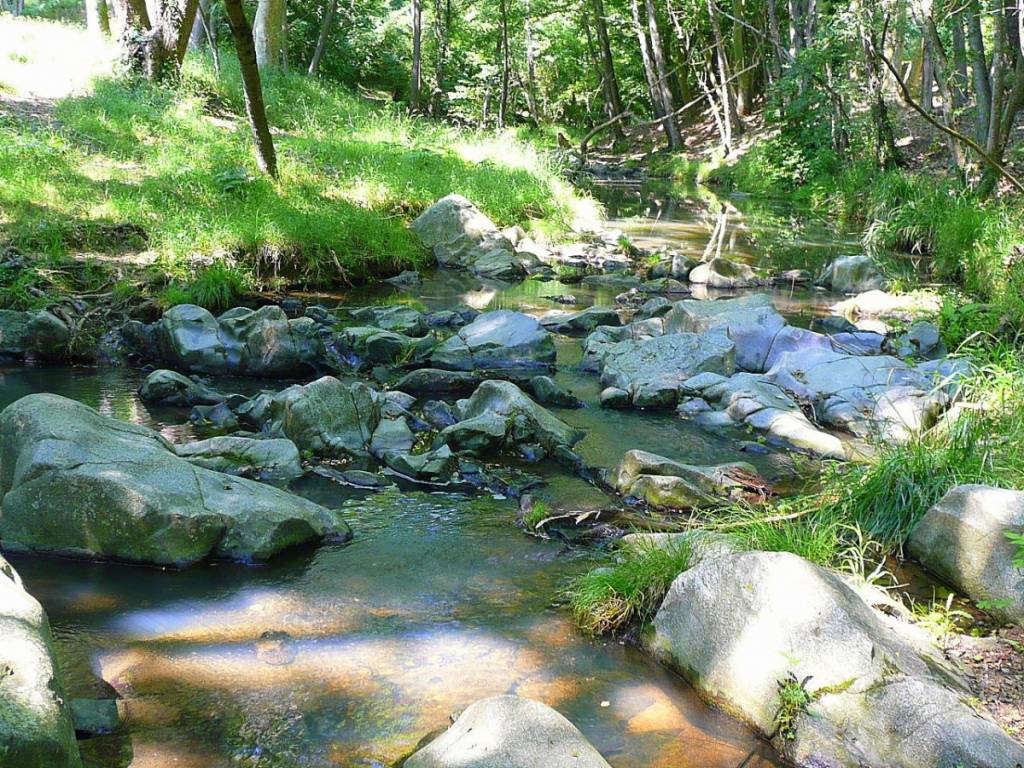 Cauce del río Onyar. Foto Turisme Gironés