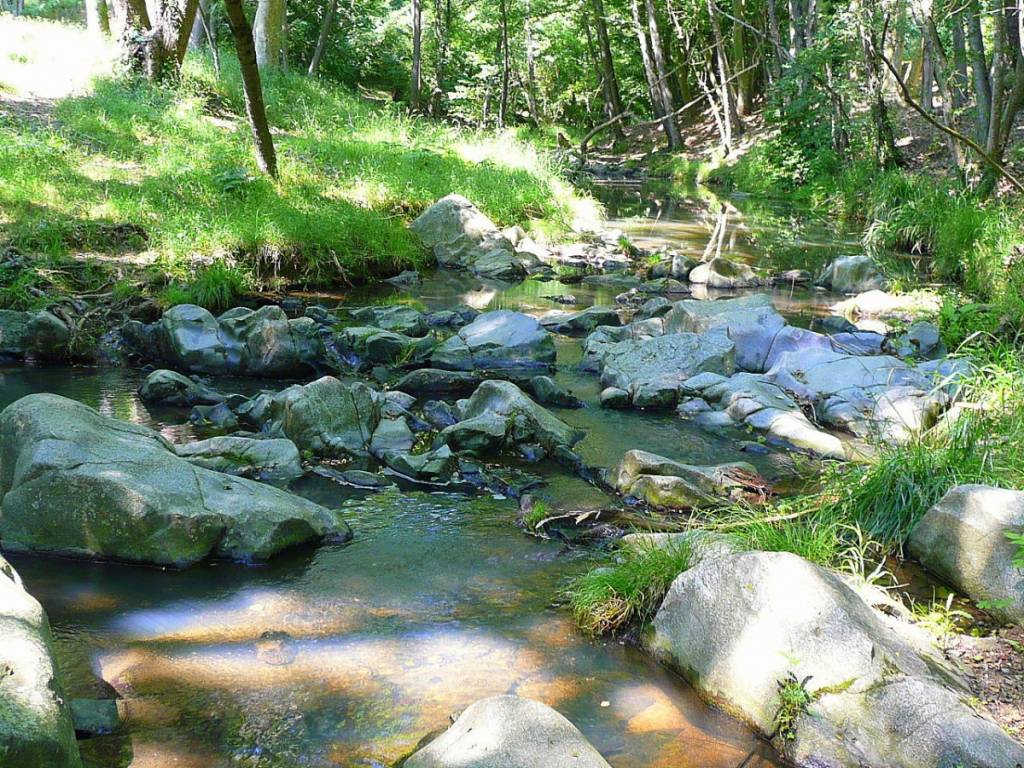 Cauce del río Onyar. Foto Turisme Gironés