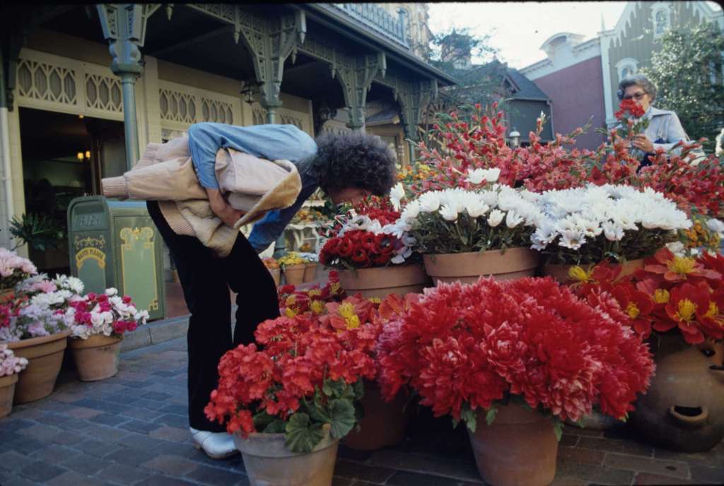 Brian May, Disneyland 1978 Foto Neal Preston - Editorial RAP 20