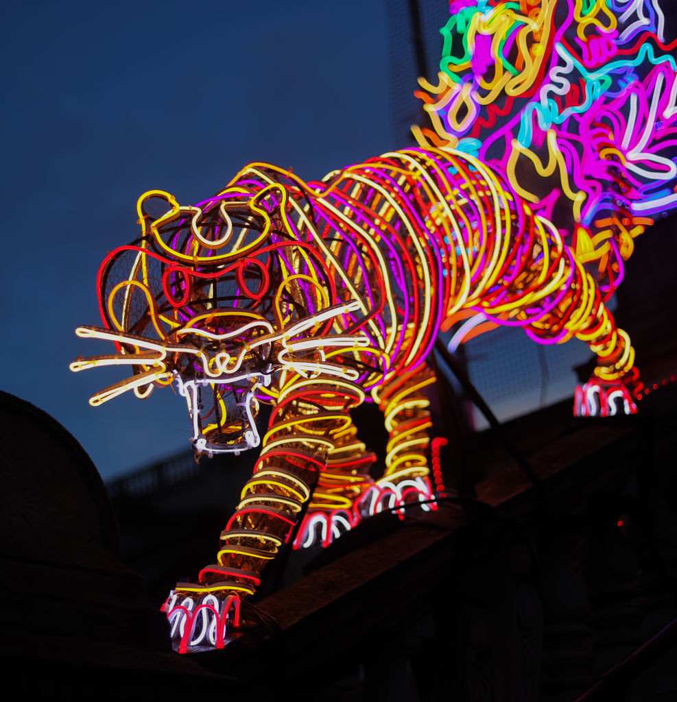 Un tigre de neón en la puerta de la Tate Britain. Foto: Tate BritaMike Marsland |WireImage via Getty Images.