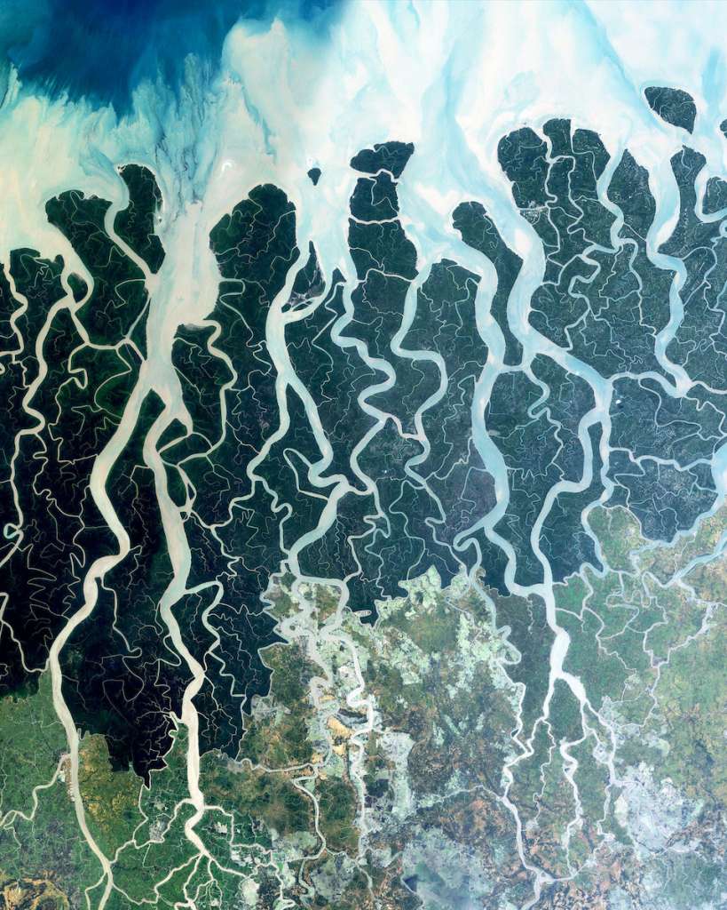 Sundarbans. Foto Overview.