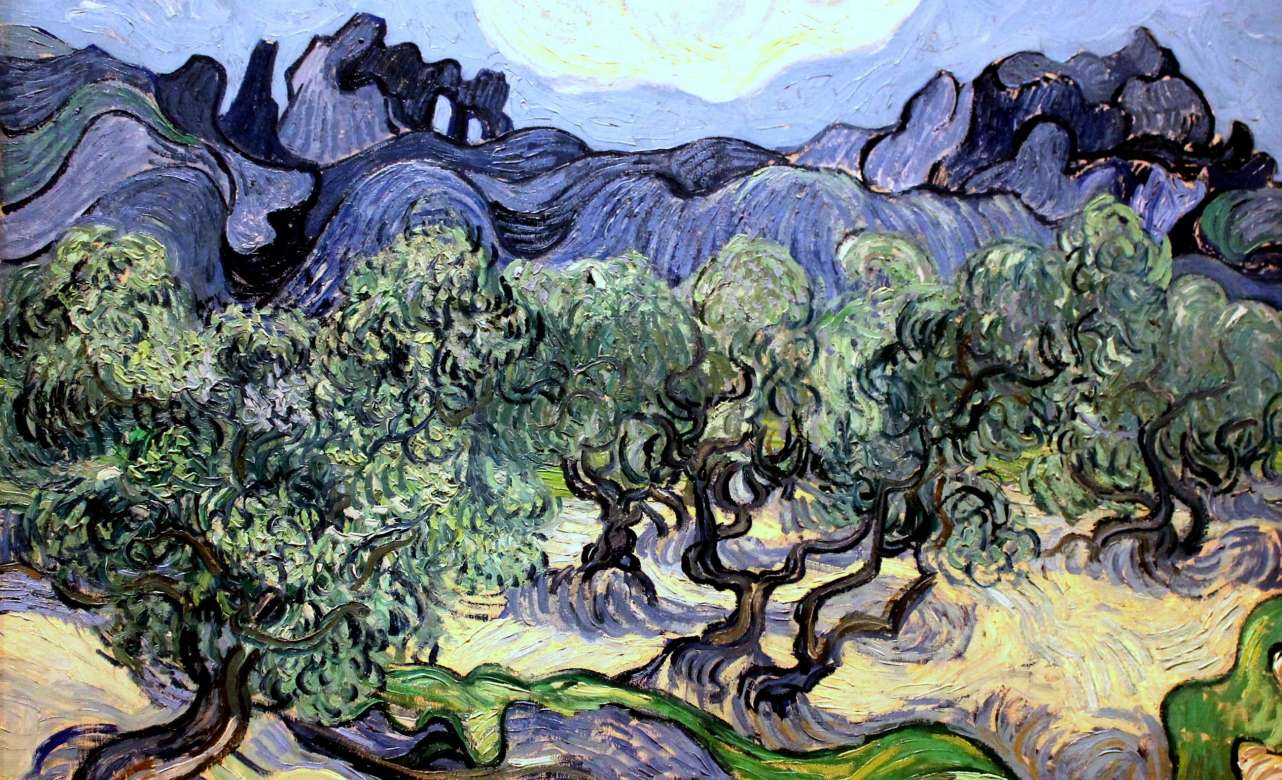 Vincent van Gogh, Painting_of_olive trees (1889). Foto Wikimedia Commons.