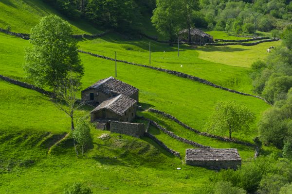 El verde de las villas pasiegas