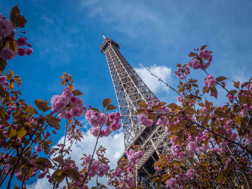La torre Eiffel en primavera-Foto SETE