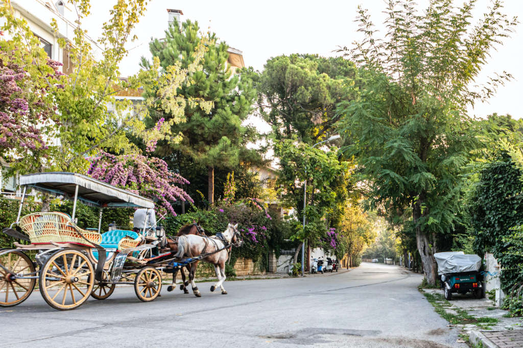 En estas islas no existen los coches. Foto Hulki Okan Tabak-Unsplash