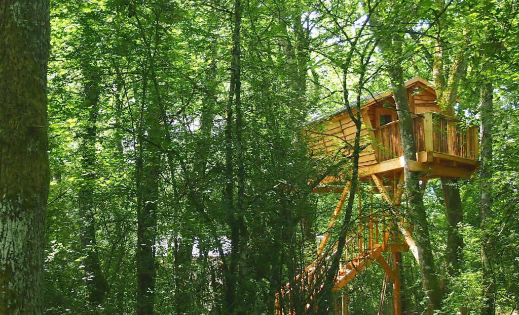 Mal Palacio de los niños Gran universo Las mejores cabañas de España para dormir en los árboles
