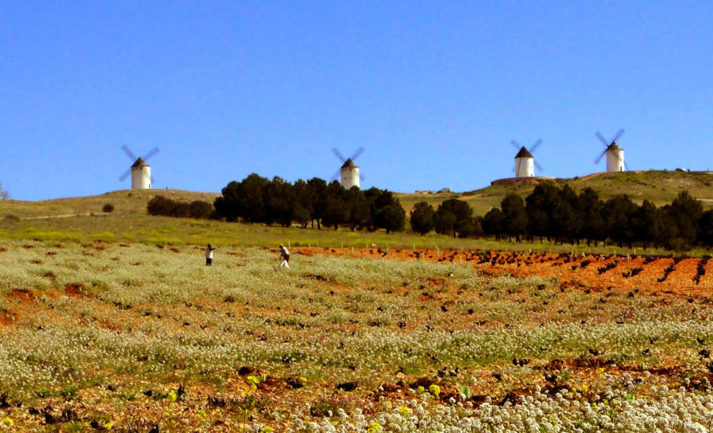 Albacete-Foto-Santiago-Lopez-Pastor