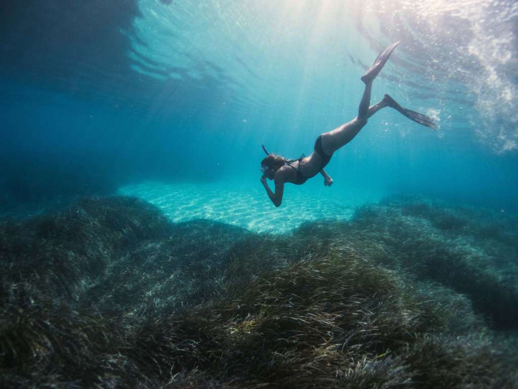 No hace falta gran preparación para hacer snorkel