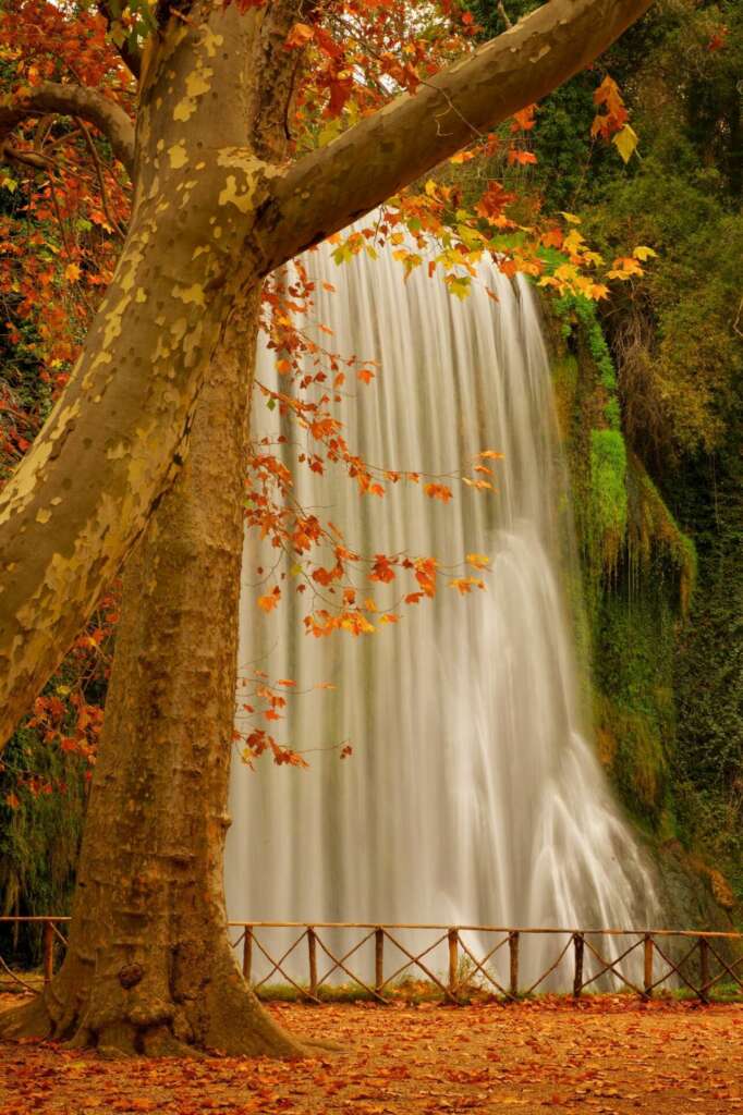 Monasterio de Piedra