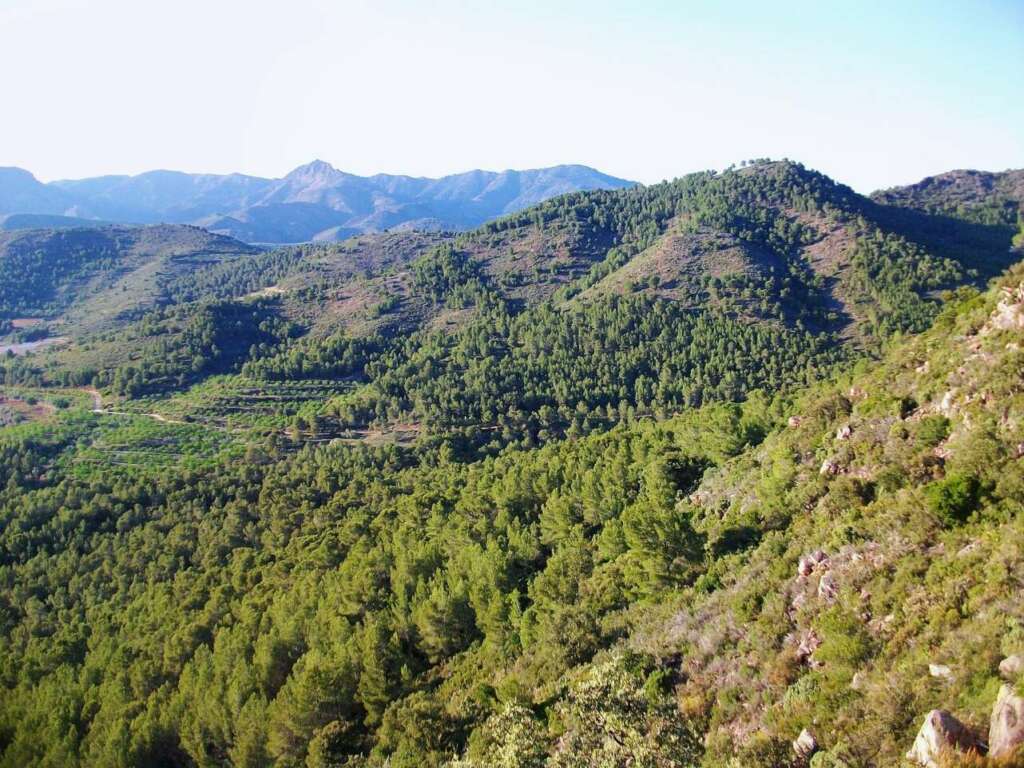Vistas desde la Penya La Caga, en Soneja. Foto Wikipedia