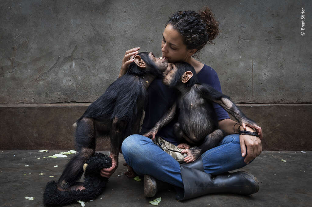 Foto Brent Stirton | Wildlife Photographer of the Year