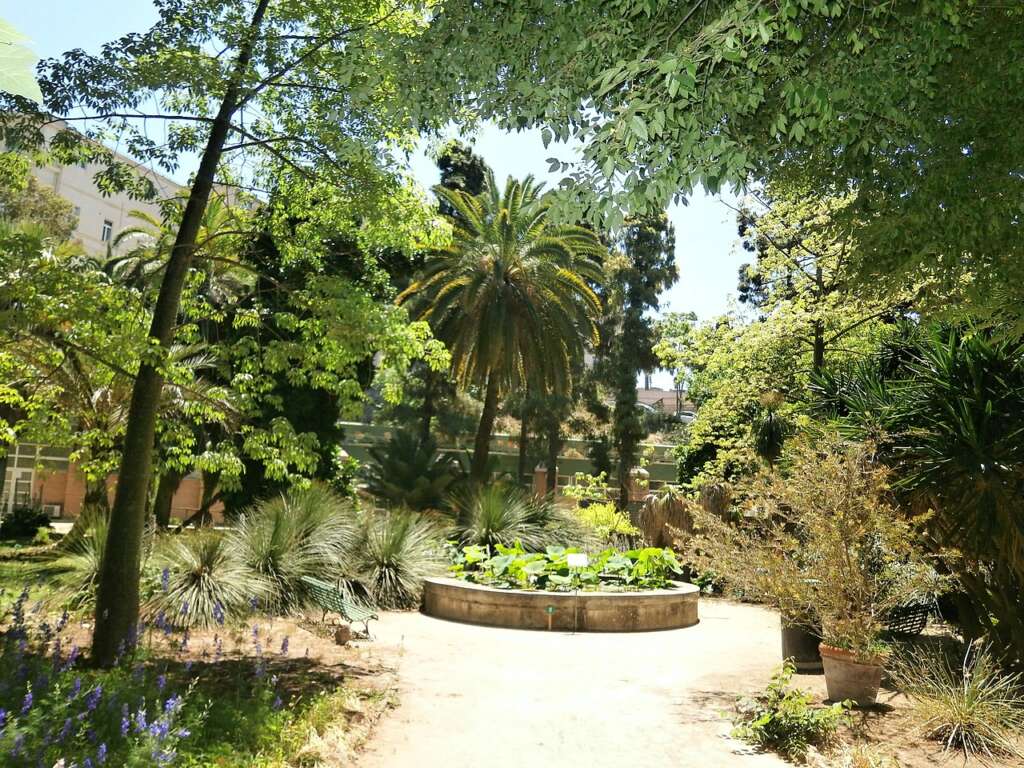 Jardin Botanico de Cagliari. Foto Wikipedia