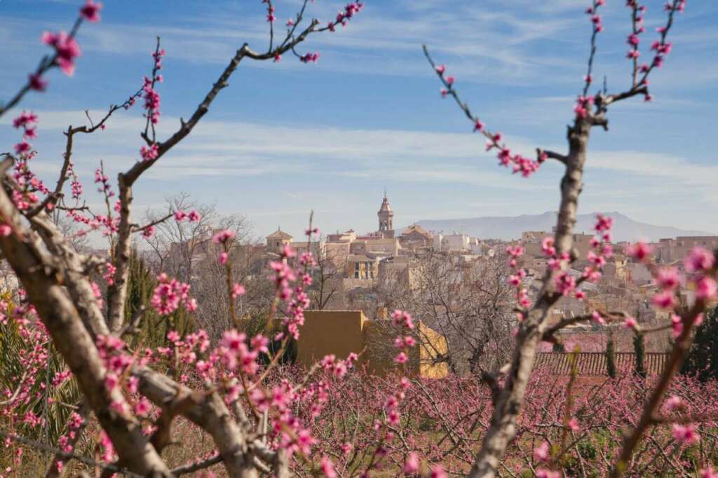 Cieza, Murcia