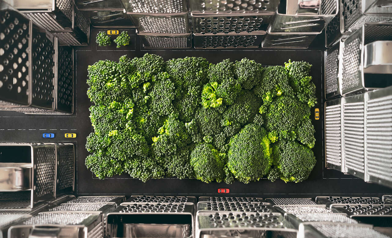 Parece un parque urbano. Pero son brócolis rodeado de ralladores. Foto Yuliy Vasilev