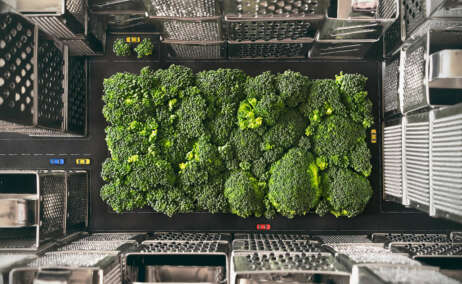 Parece un parque urbano. Pero son brócolis rodeado de ralladores. Foto Yuliy Vasilev