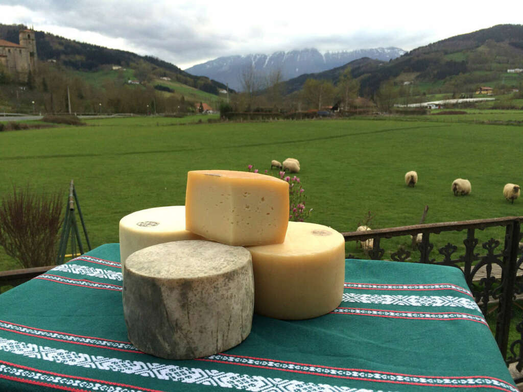 Quesos y ovejas en la ruta del queso Idiazabal